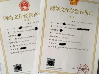 上海網(wǎng)絡(luò)文化經(jīng)營許可證辦理全攻略 條件、流程與注意事項(xiàng)